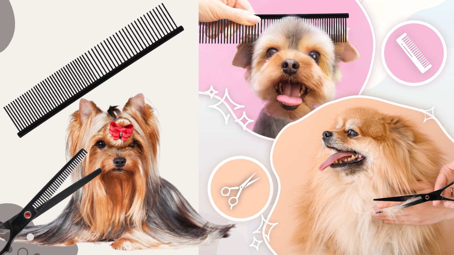 NOŻYCZKI FRYZJERSKIE GROOMERSKIE 7.0 ZESTAW 3+1 DO STRZYŻENIA ZWIERZĄT DOMU Rozmiar 7