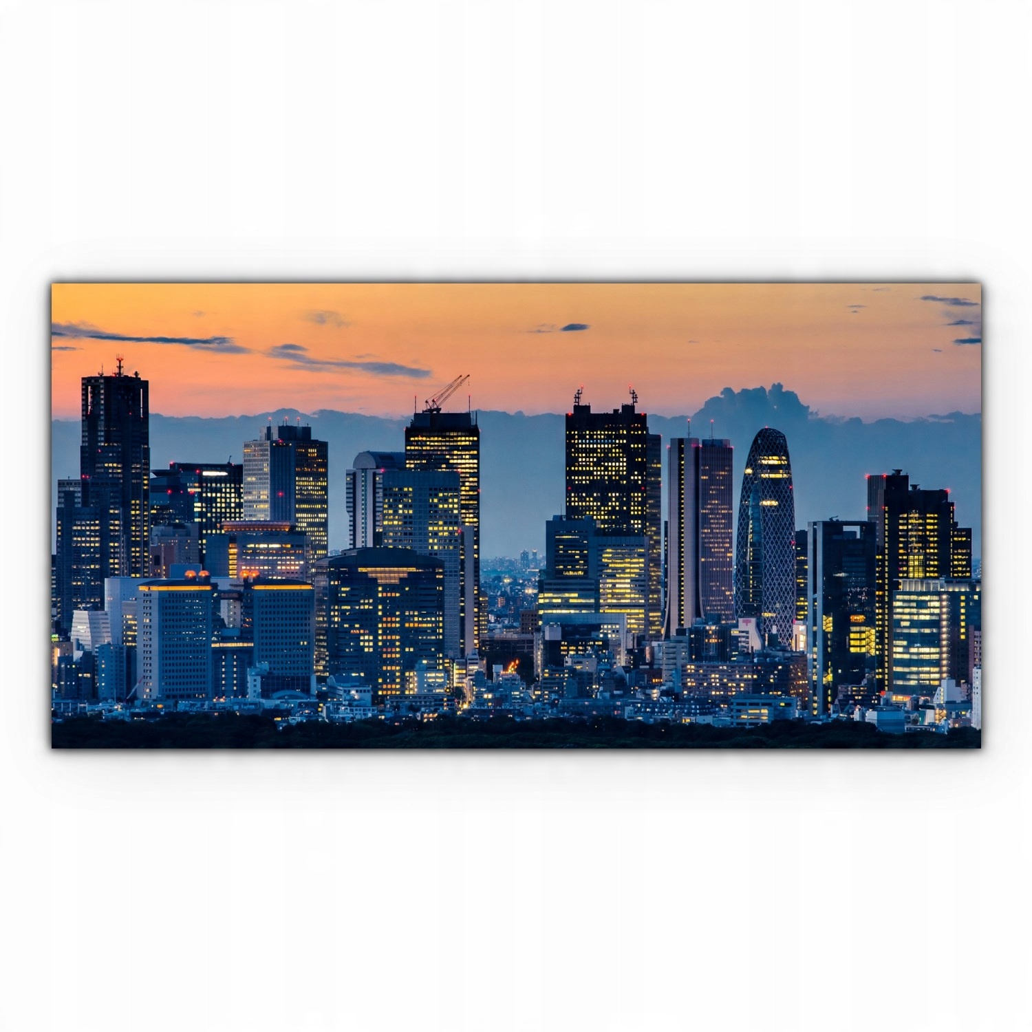

Fotoobraz na płótnie 120x60 Tokio Japonia Miasto