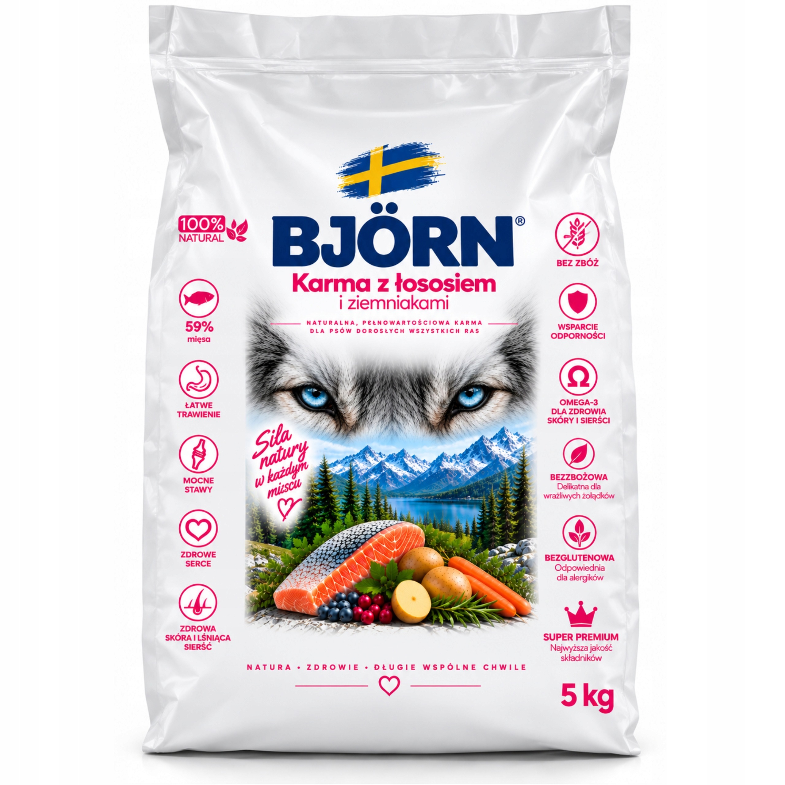 Suché krmivo pro psy Bjorn s lososem, bez obilovin, Dog Care Adult 10 kg