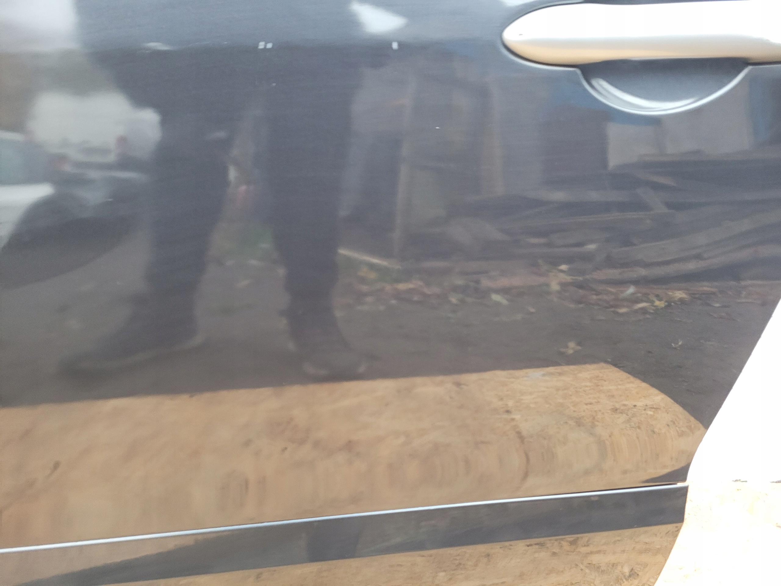 door front front left RENAULT SCENIC III