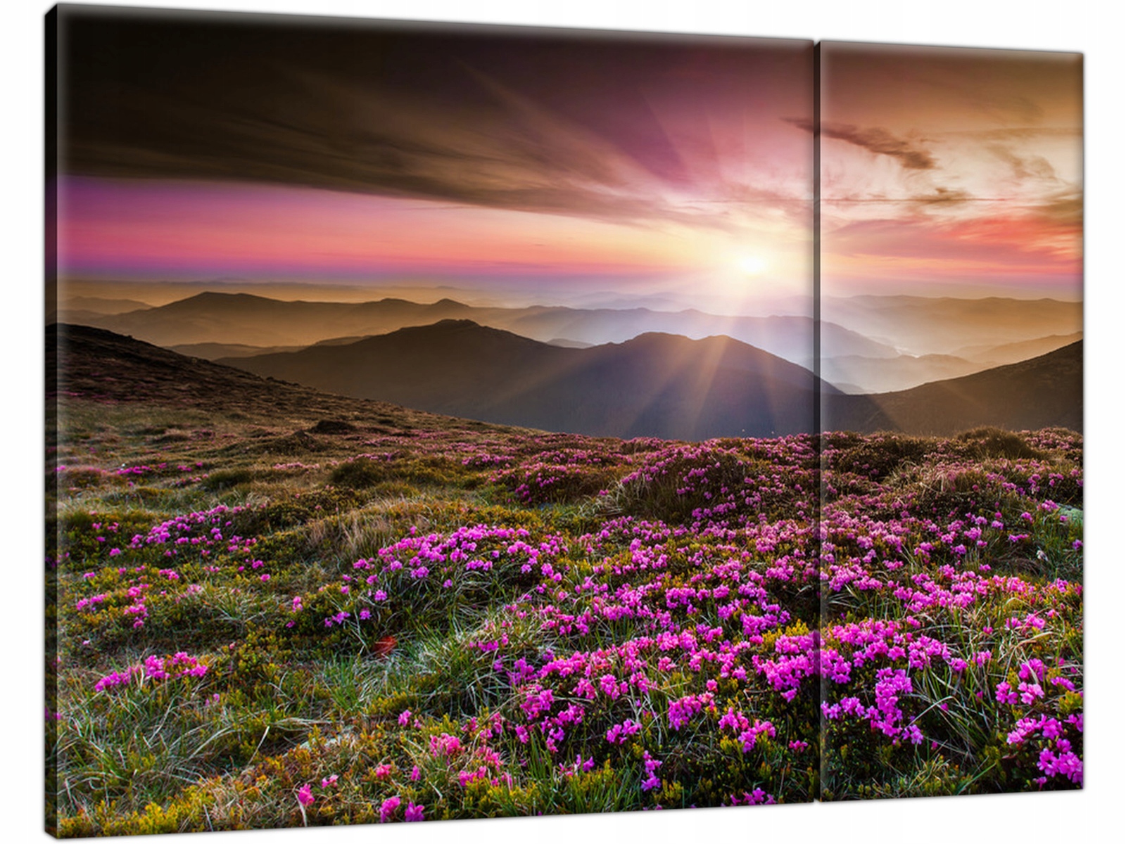 

Piękny Krajobraz Pejzaż 70x50 Obraz na płótnie