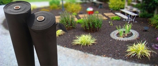 Agrowłóknina Gf na Chwasty Uv P-50 0,8x80m Czarna