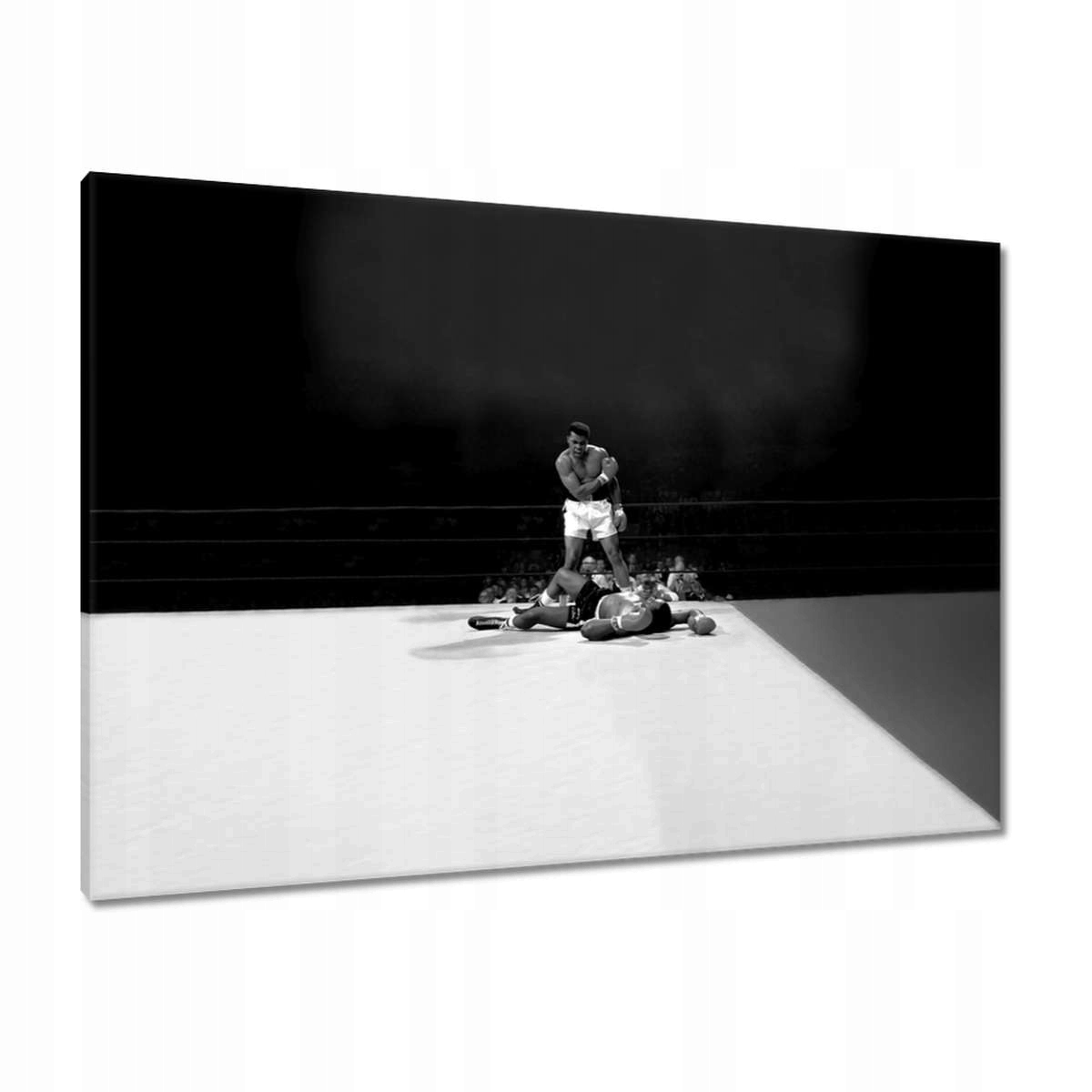 Obrazy 100x70 Muhammad Ali Boxer Boj