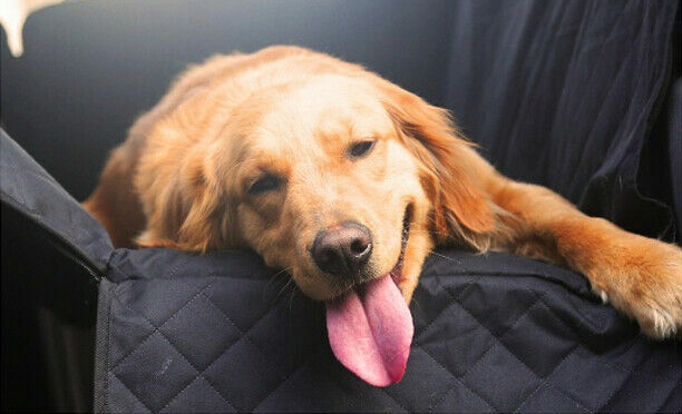 MATA OCHRONNA NA FOTEL, FOTELIK, TRANSPORTER dla PSA KOTA do SAMOCHODU DUŻY Rodzaj Uniwersalne