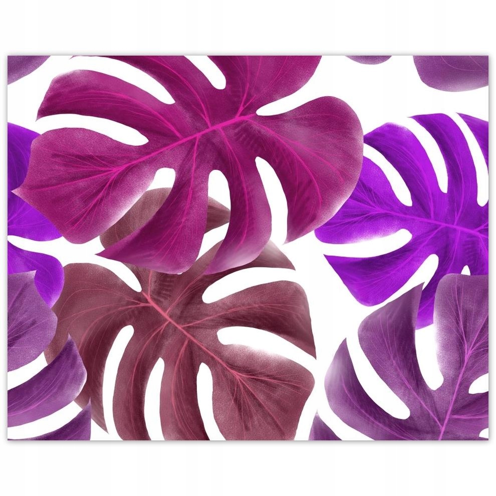 

Plakat 50x40 Monstera Liście Fiolet