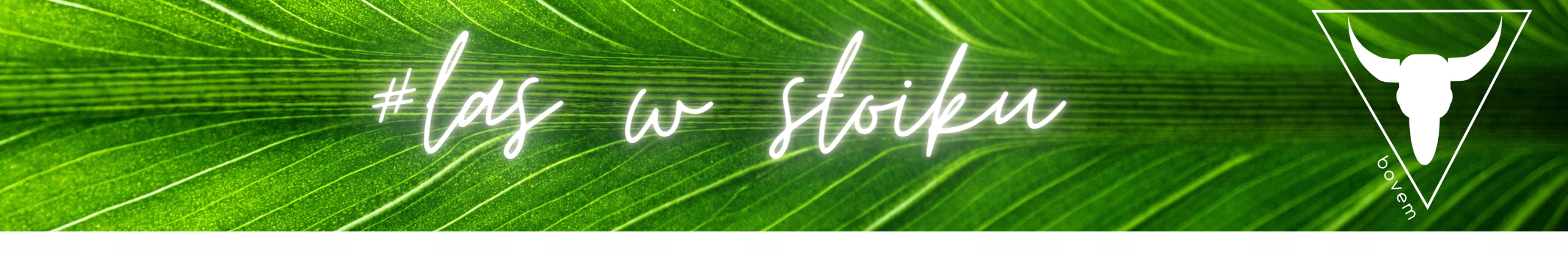 Wazon szklany CYLINDER TUBA WALEC h20 d10 Marka BOVEM