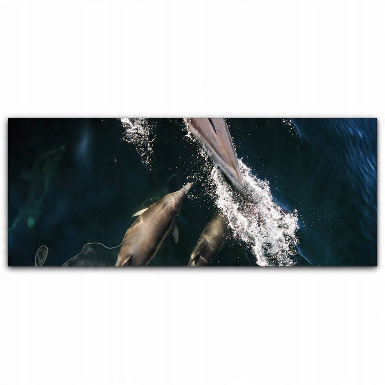 

Nowoczesny Canvas 125x50 Delfiny Ocean Zwierzęta