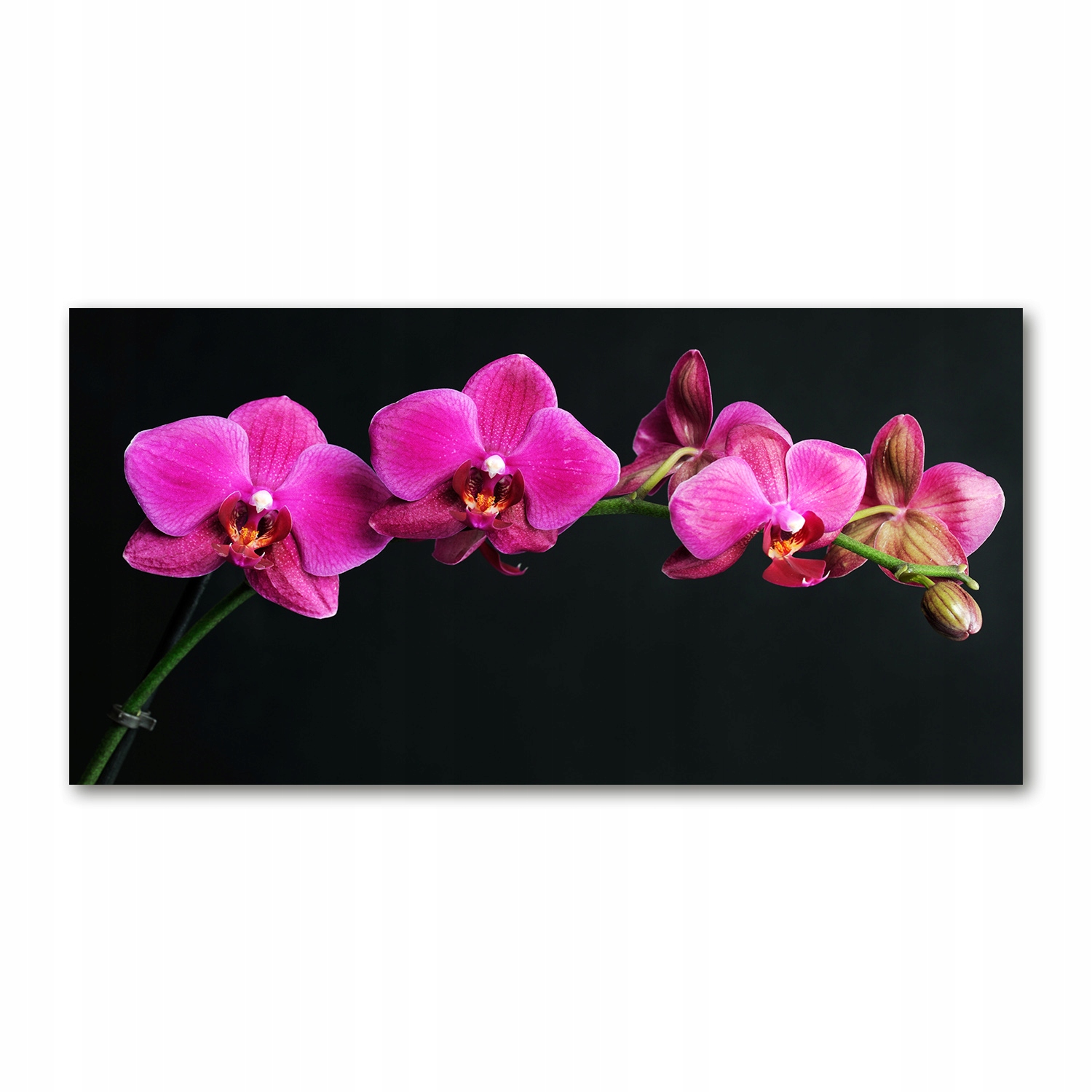 

Foto obraz duży akryl nowoczesny Orchidea 120X60cm