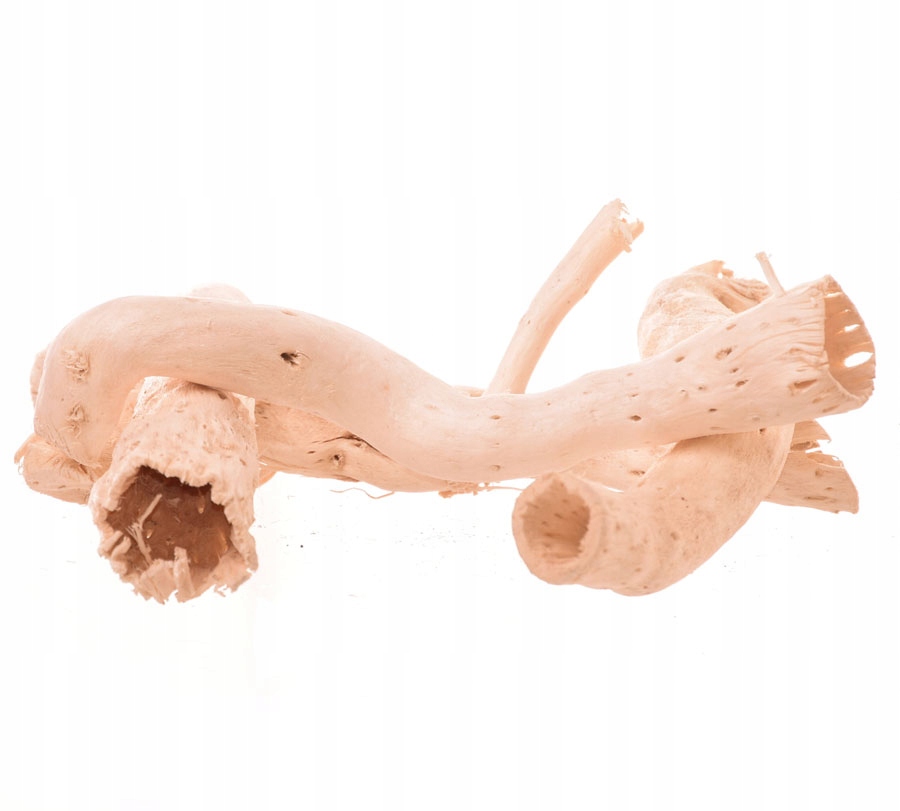 

Copi cone bielone 5szt patyczki egzotyczne susz