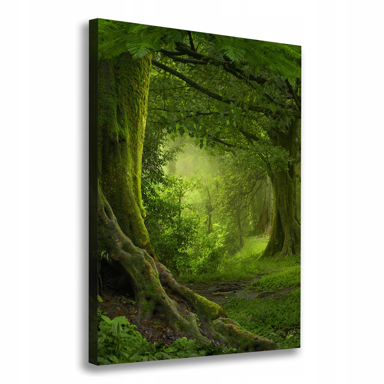 

Foto obraz na płótnie Tropikalna dżungla 70x100 cm