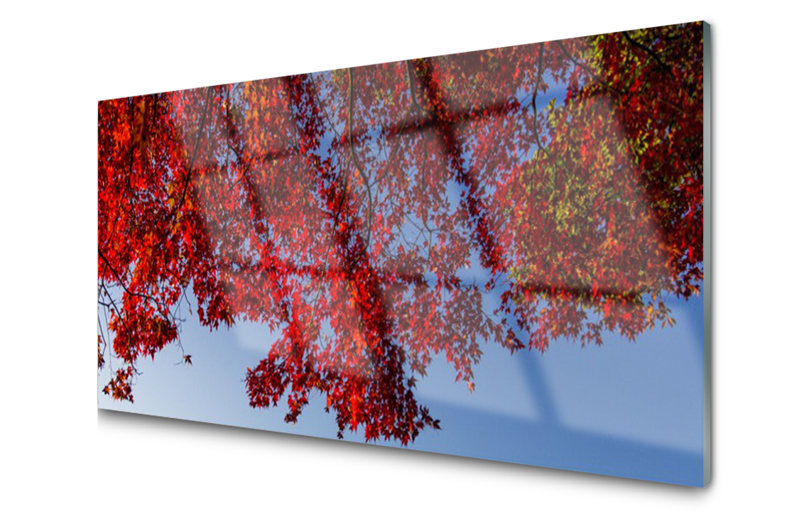 

Panel szklany Płytka Drzewo Liście 140x70 + Klej