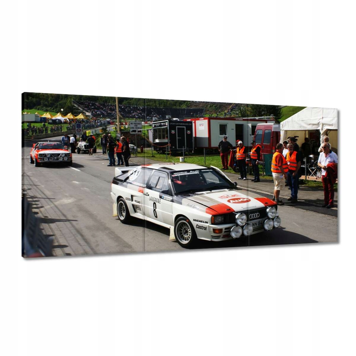Obrazy 180x90 Audi Quattro na rally