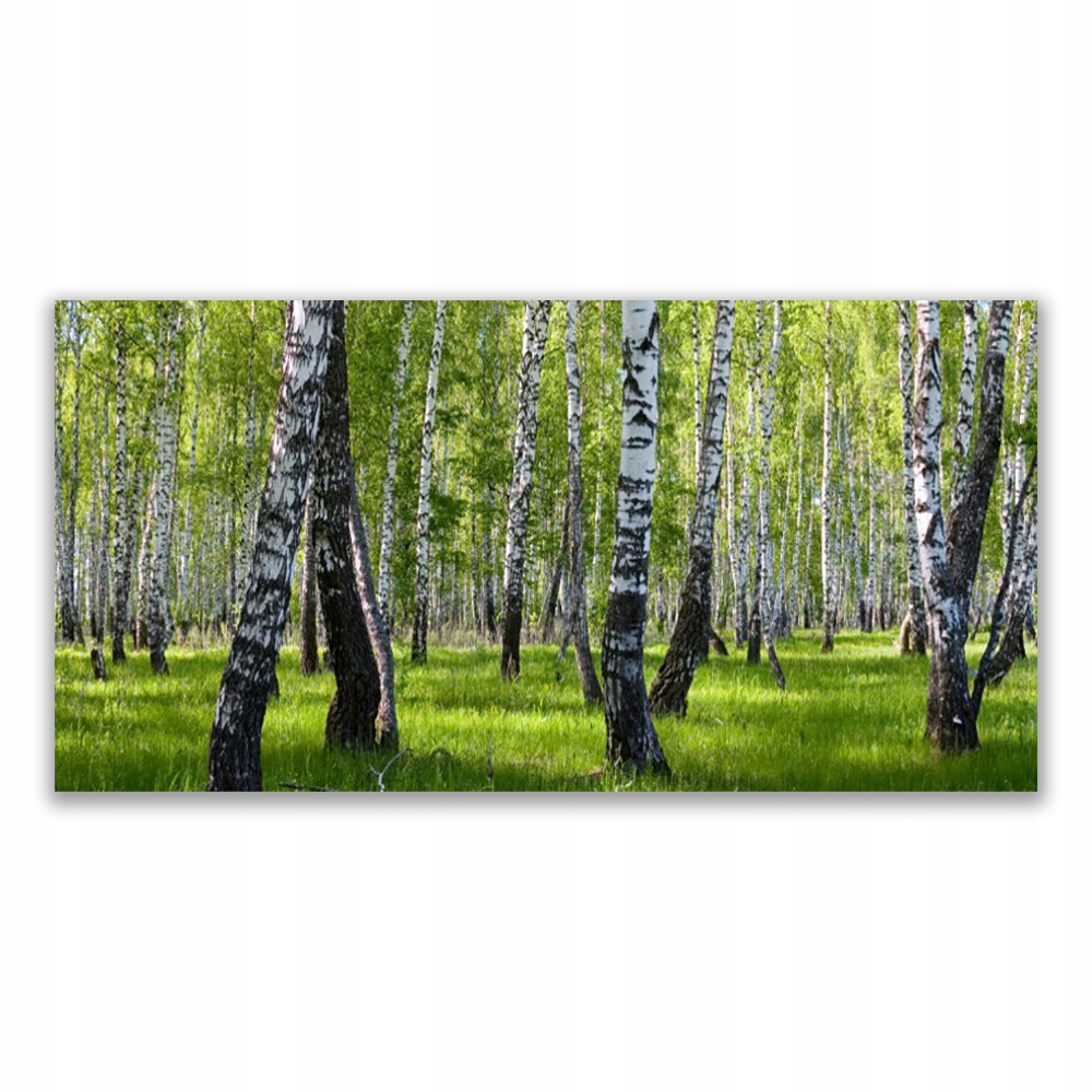 

Fotoobraz akryl wiszący 140x70 Las Drzewa Natura
