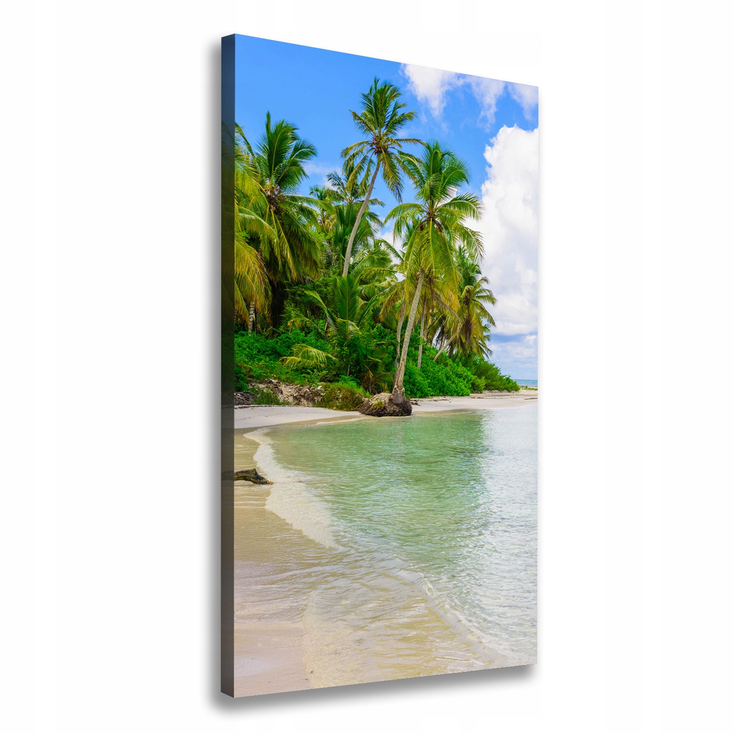 

Foto obraz na płótnie Tropikalna plaża 70x140 cm