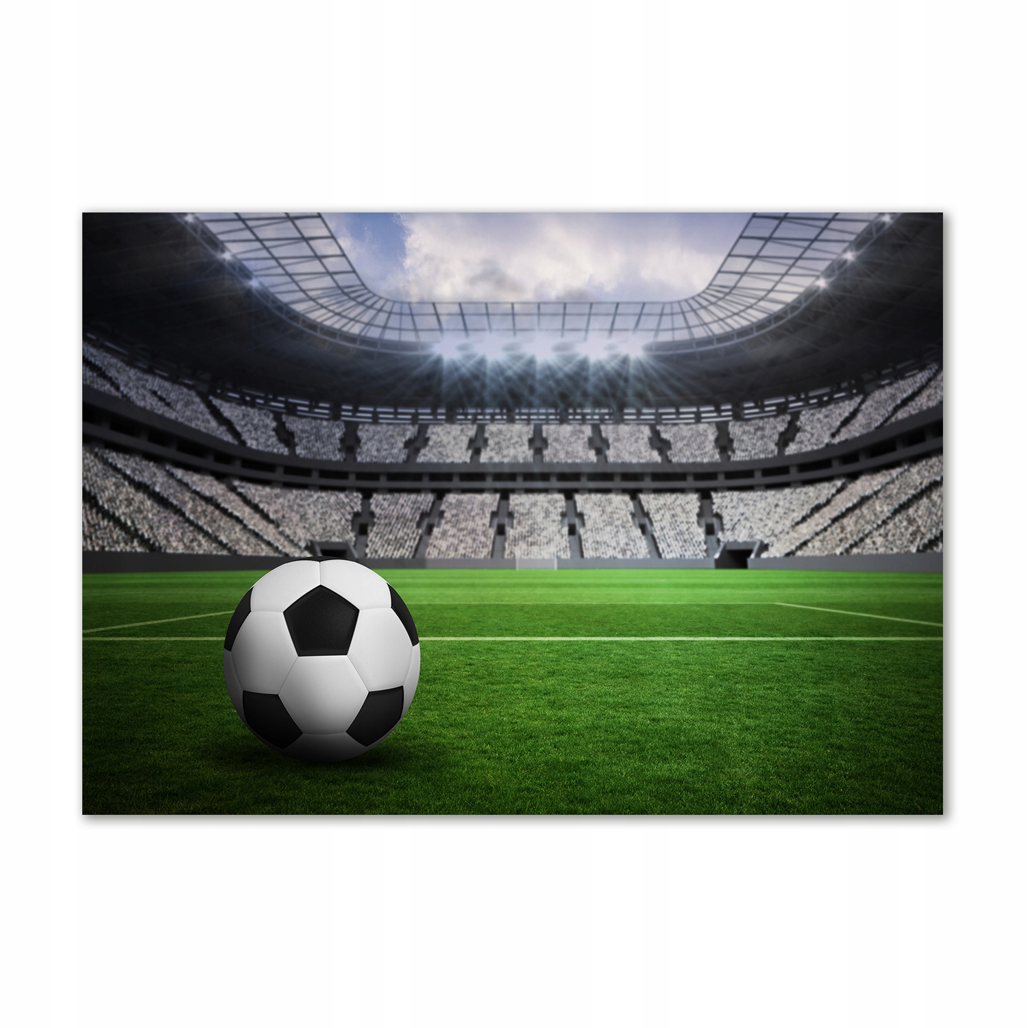 

Foto obraz szklany Piłka na stadionie 100x70