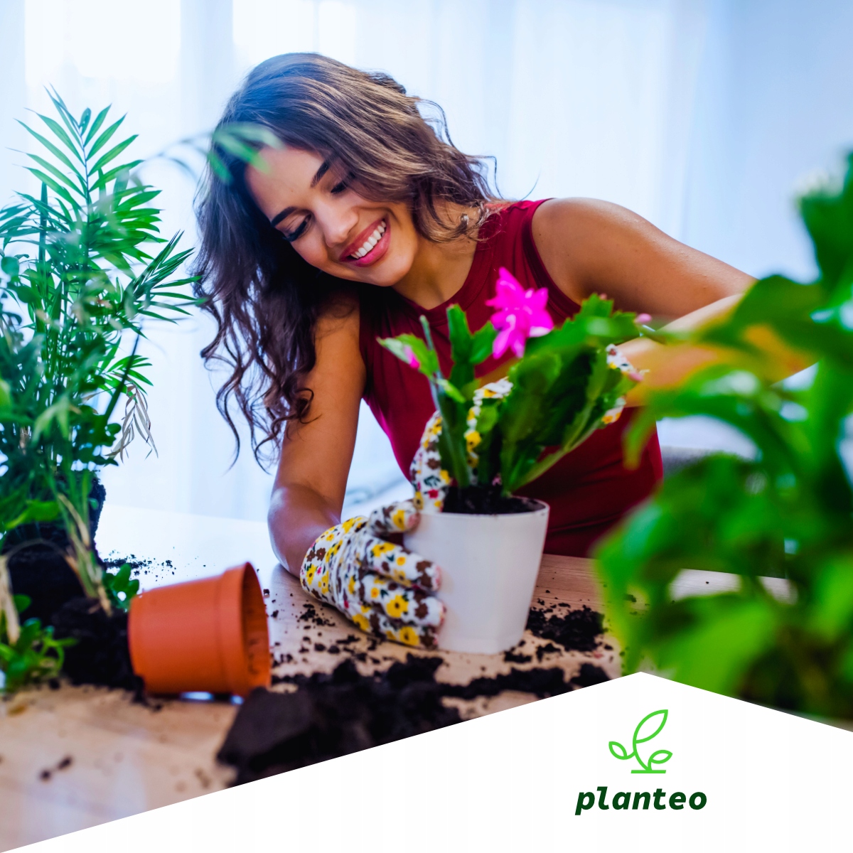BIO NAWÓZ NATURALNY PŁYN PIĘKNE KWIATY PLANTEO 1L Forma płyn