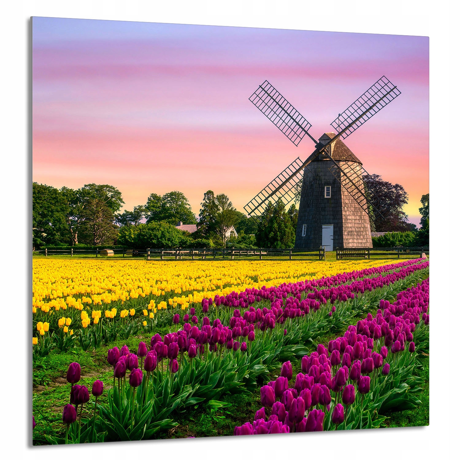 Skleněný Panel Do Kuchyně 60x65 Louka Tvrzené Sklo