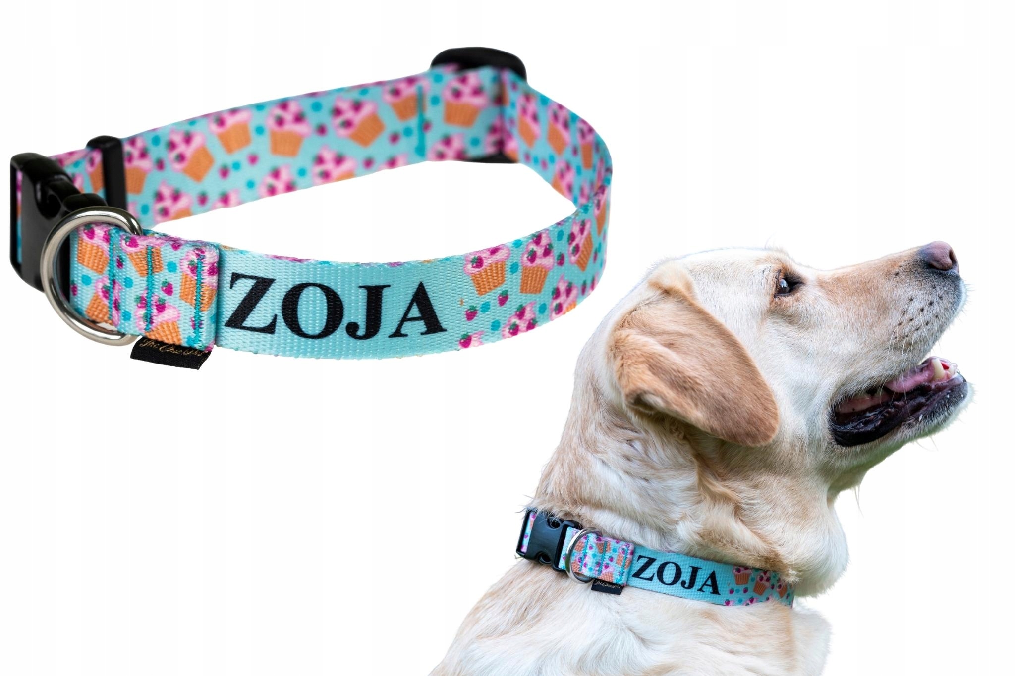 

Obroża z imieniem psa Adresówka numer różne