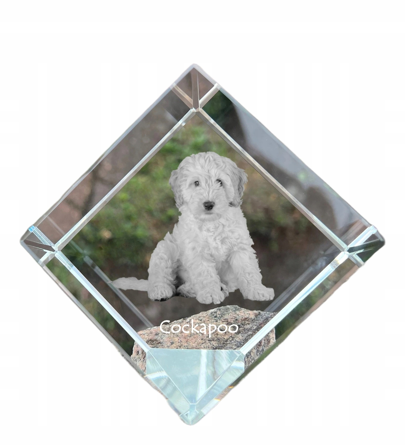 Cockapoo krištáľová kocka s fotografiou psa, ozdoba na stôl, tlačidlo