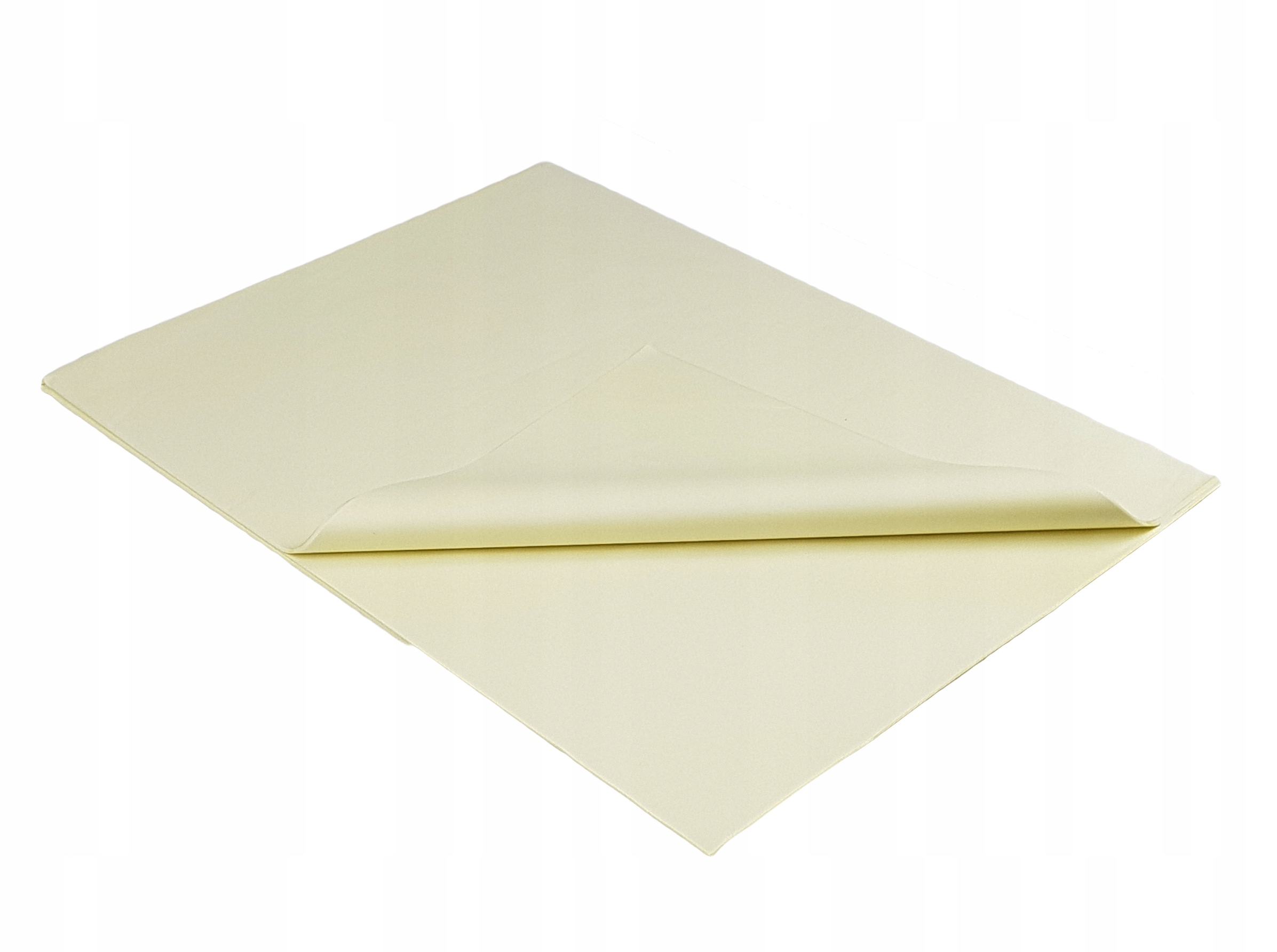 

Bibuła gładka 38*50 cm 100 arkuszy Ecru