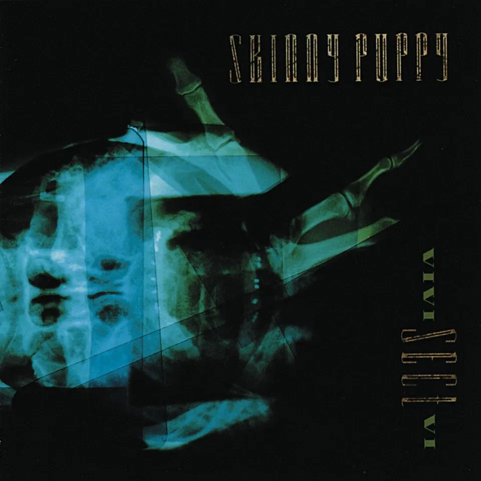 Skinny Puppy: VIVI Sect Vi Vinyl (lp)