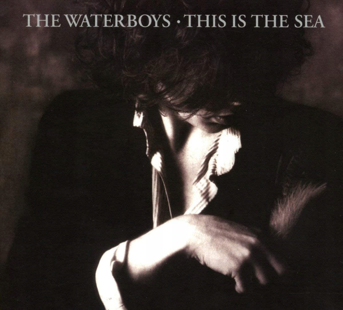 Waterboys, The This Is The Sea (2CD)