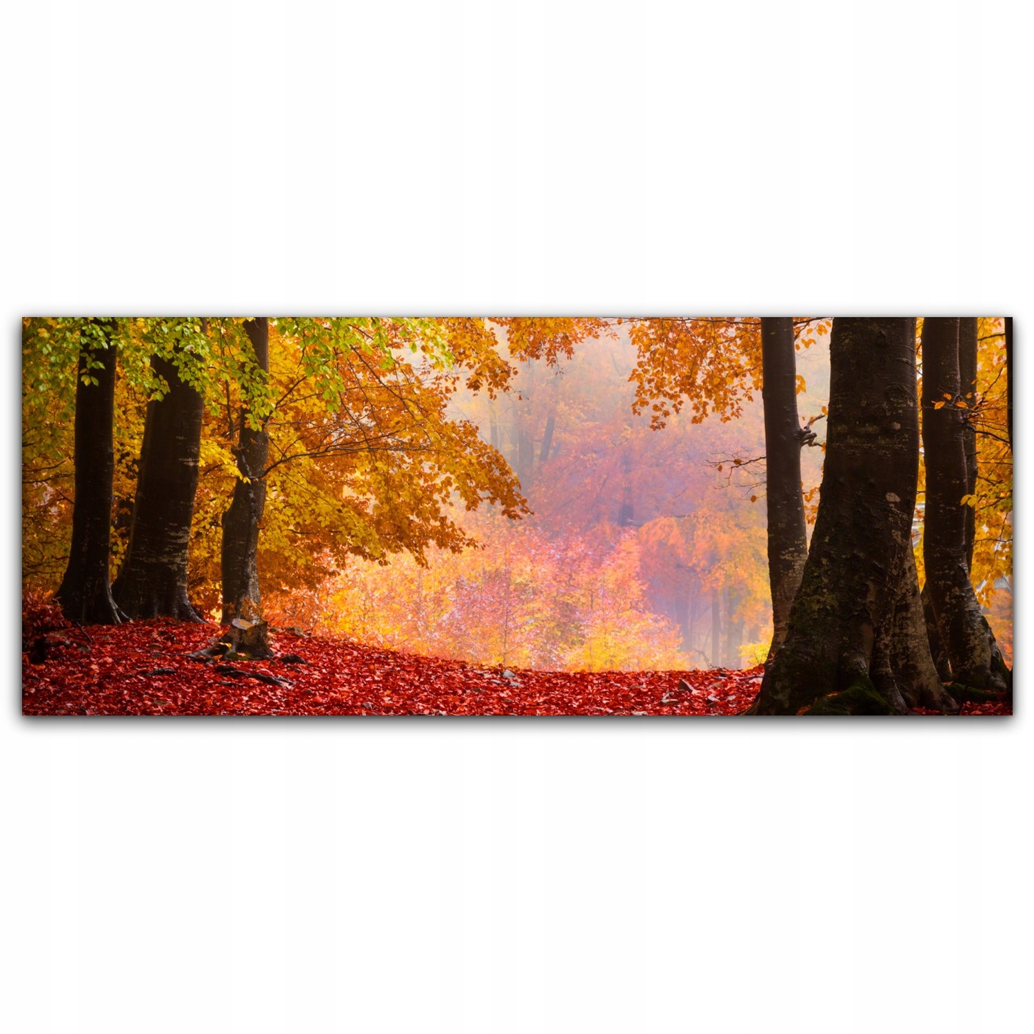 

Canvas na ramie na ścianę 125x50 Mgła Las Jesień
