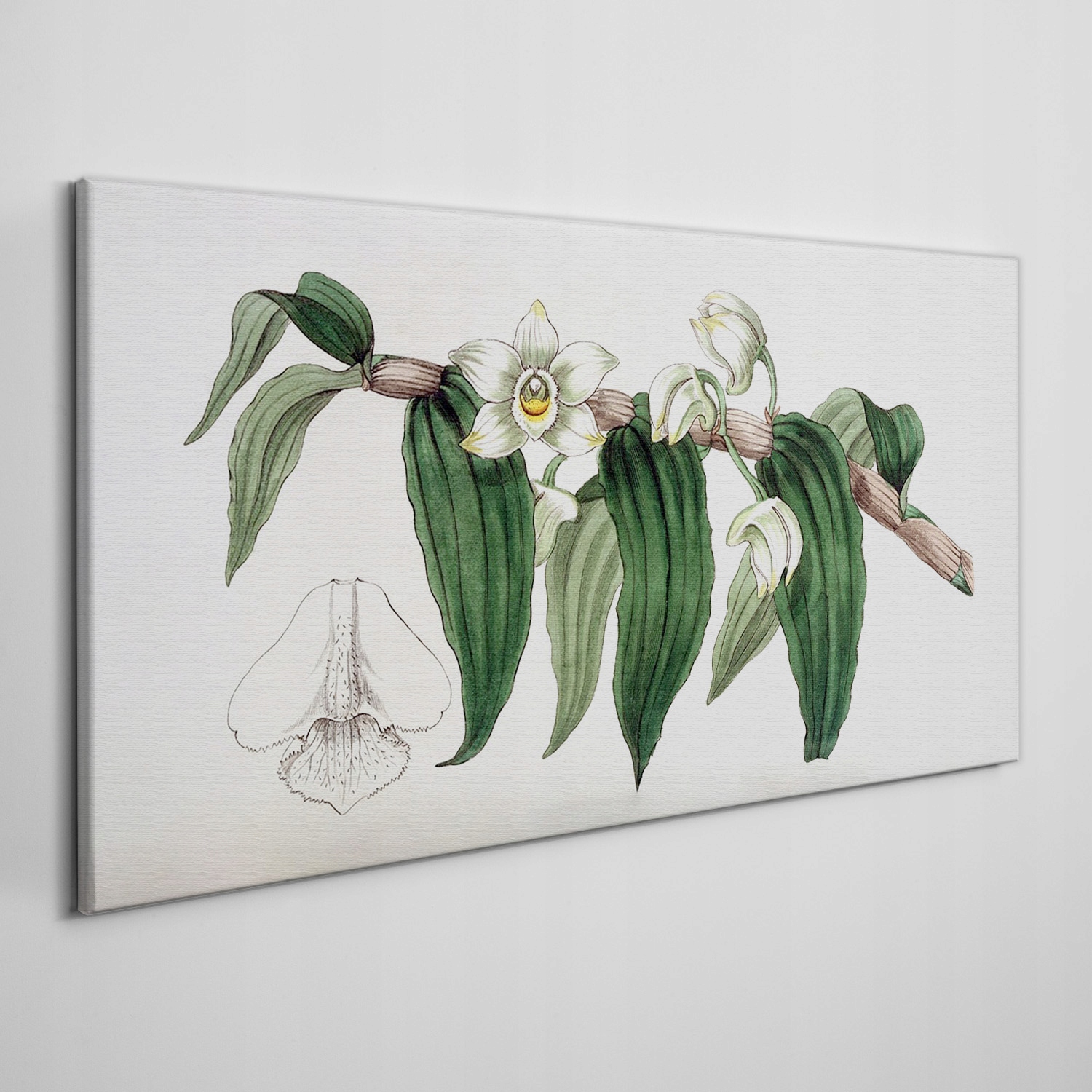 

Obraz na płótnie Kwiat gałąź orchidea 100x50 cm