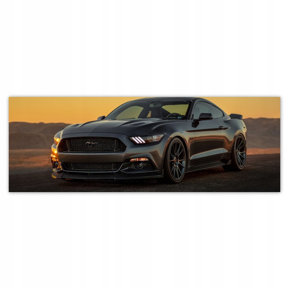 

Fototapety flizelina 624x219 Ford Mustang Usa