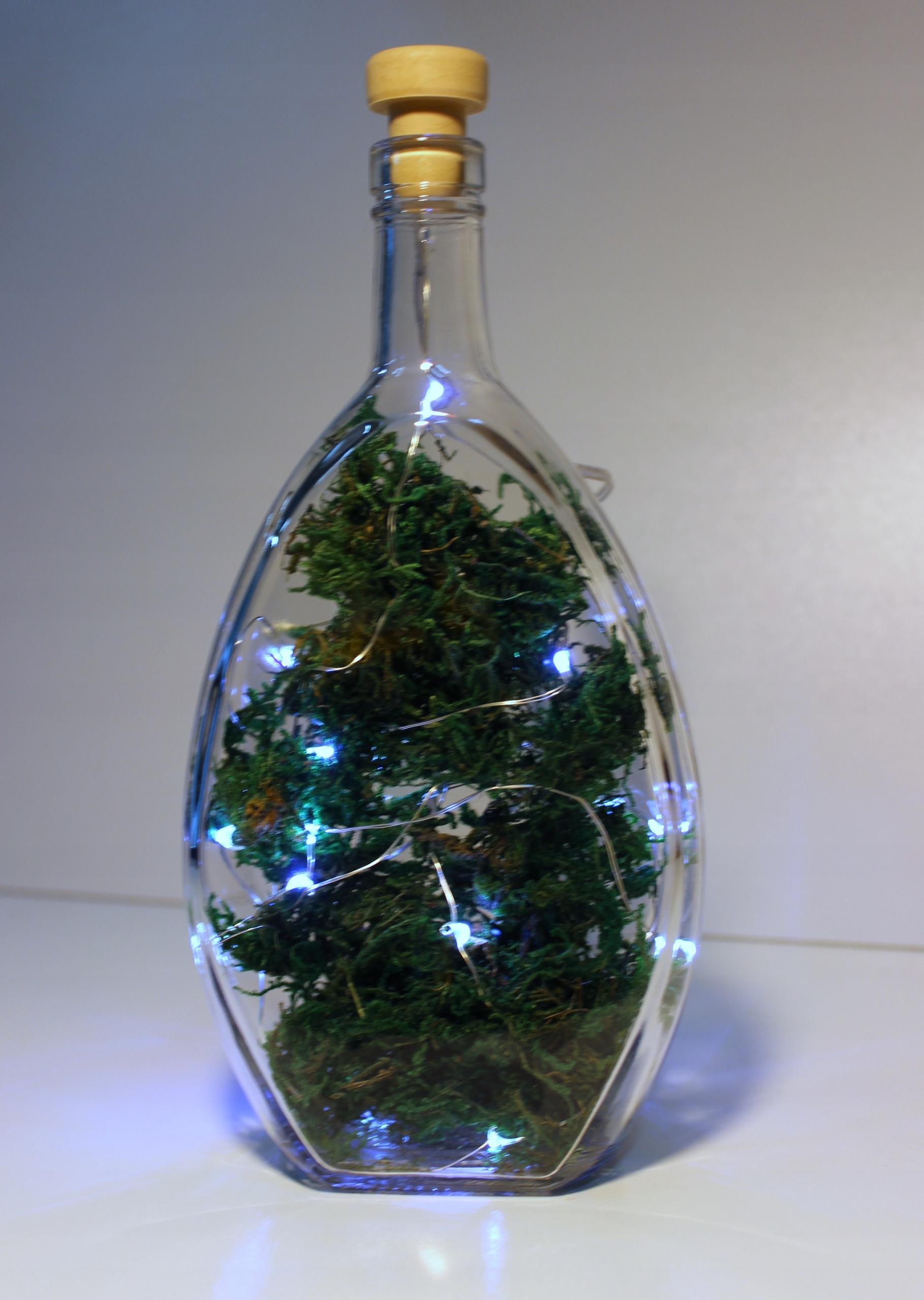 LAMPKA NOCNA BUTELKA OZDOBA MECH SZKLANA WAZON 20LED STROIK LMAPION BUTELKA Rodzaj lampion