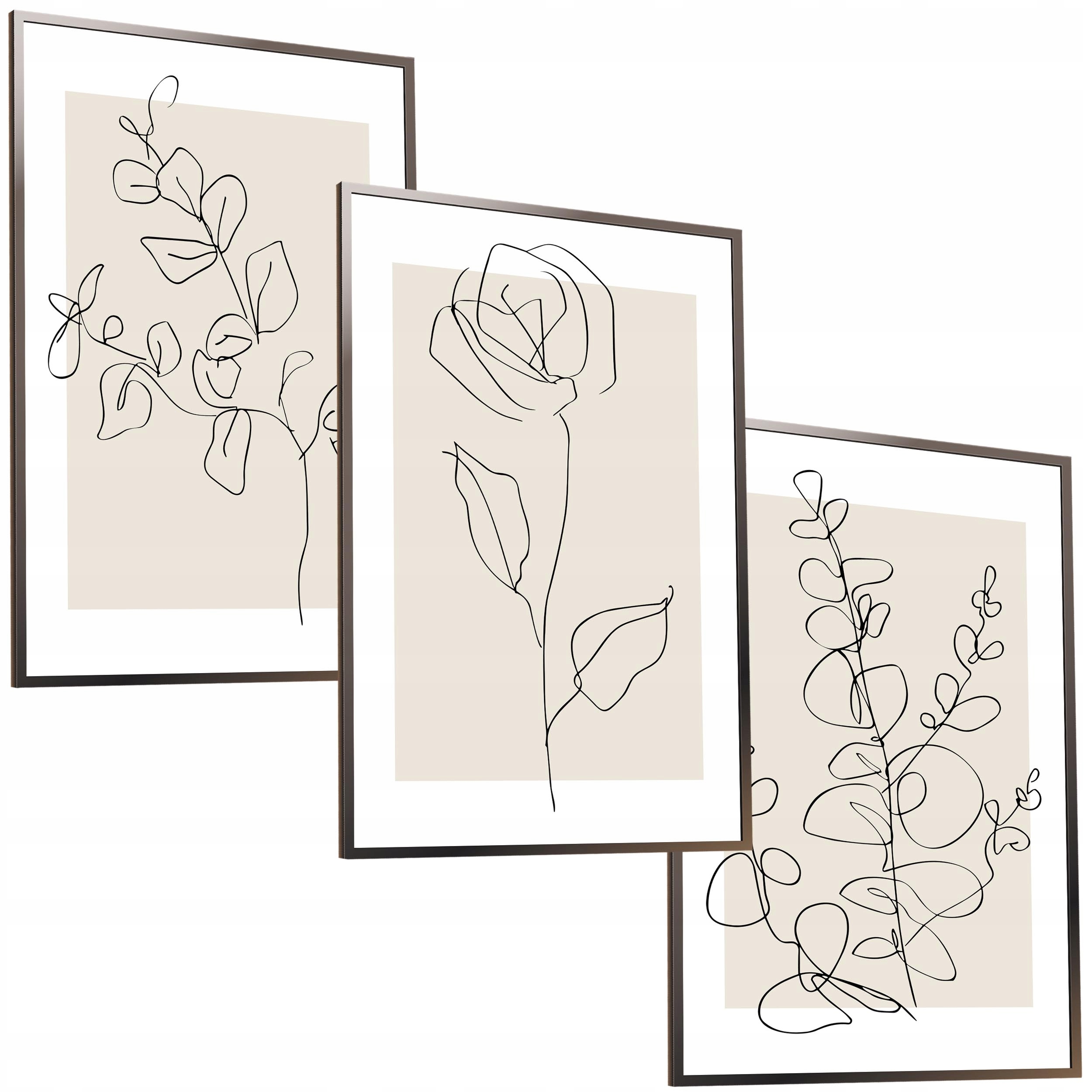30x40 ZESTAW OBRAZY W RAMIE PLAKATY RAMKA RÓŻA NATURA BOHO LINEART BEŻOWE