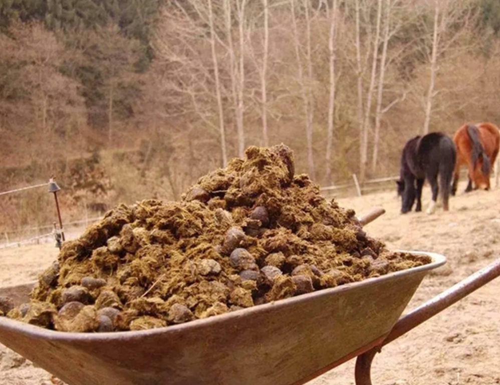 Заббалин каир. Мусор в пруду. Возле куч. Возле куч. Мусорный бак с мусором.