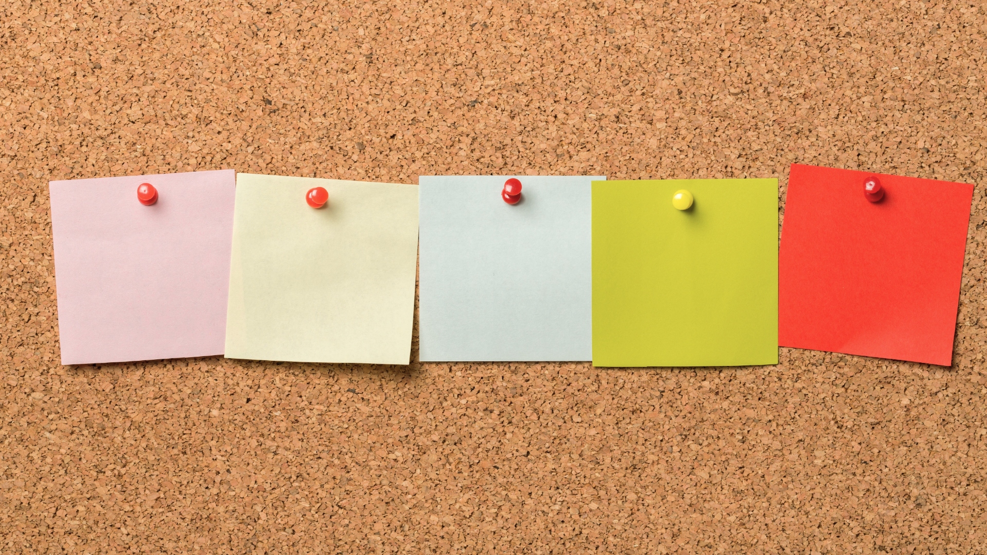 Tablica korkowa rama aluminiowa 100x80cm + gratis Rodzaj tablicy inne