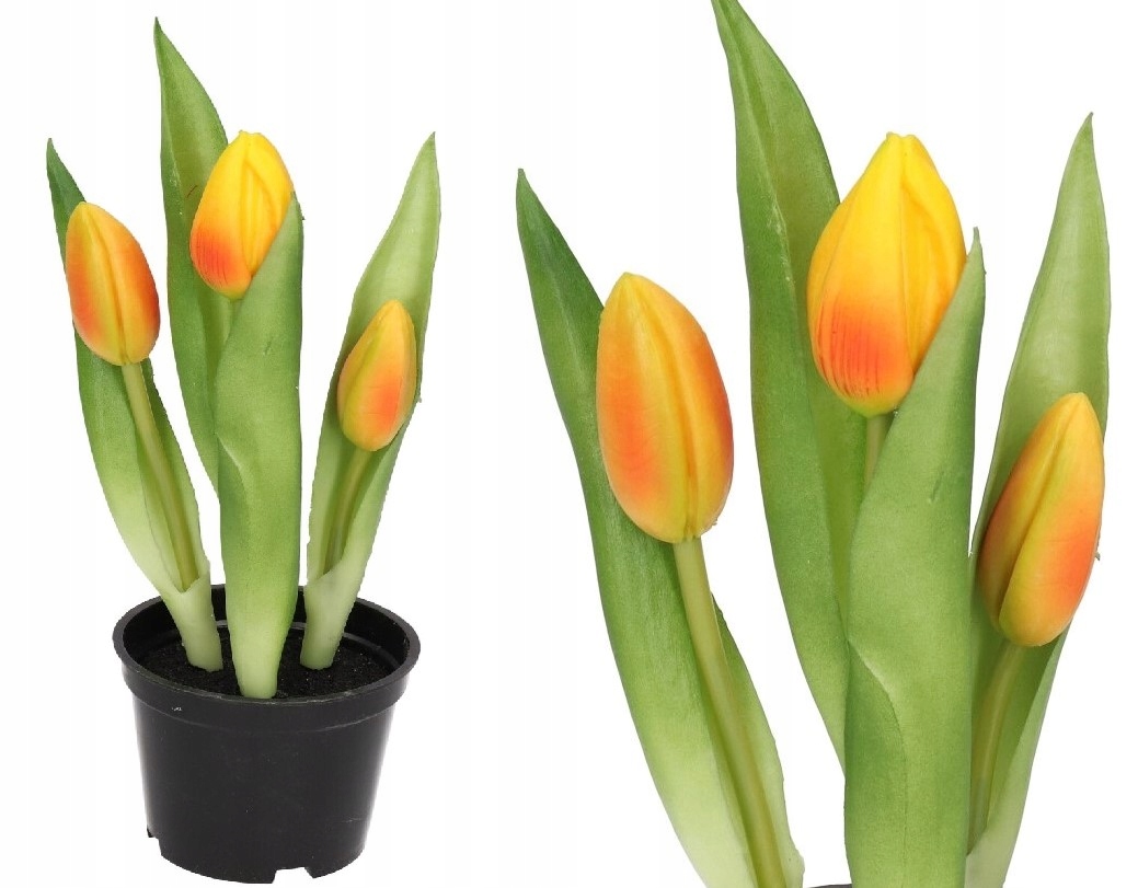 

Tulipany Bukiet Tulipanów Kwiaty Gumowe Jak Żywe