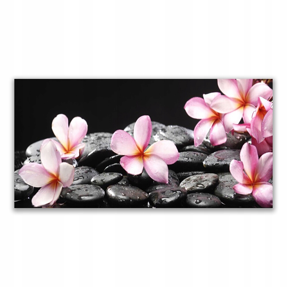 

Obraz na prezent 120x60 Kwiat Plumeria na Ścianę