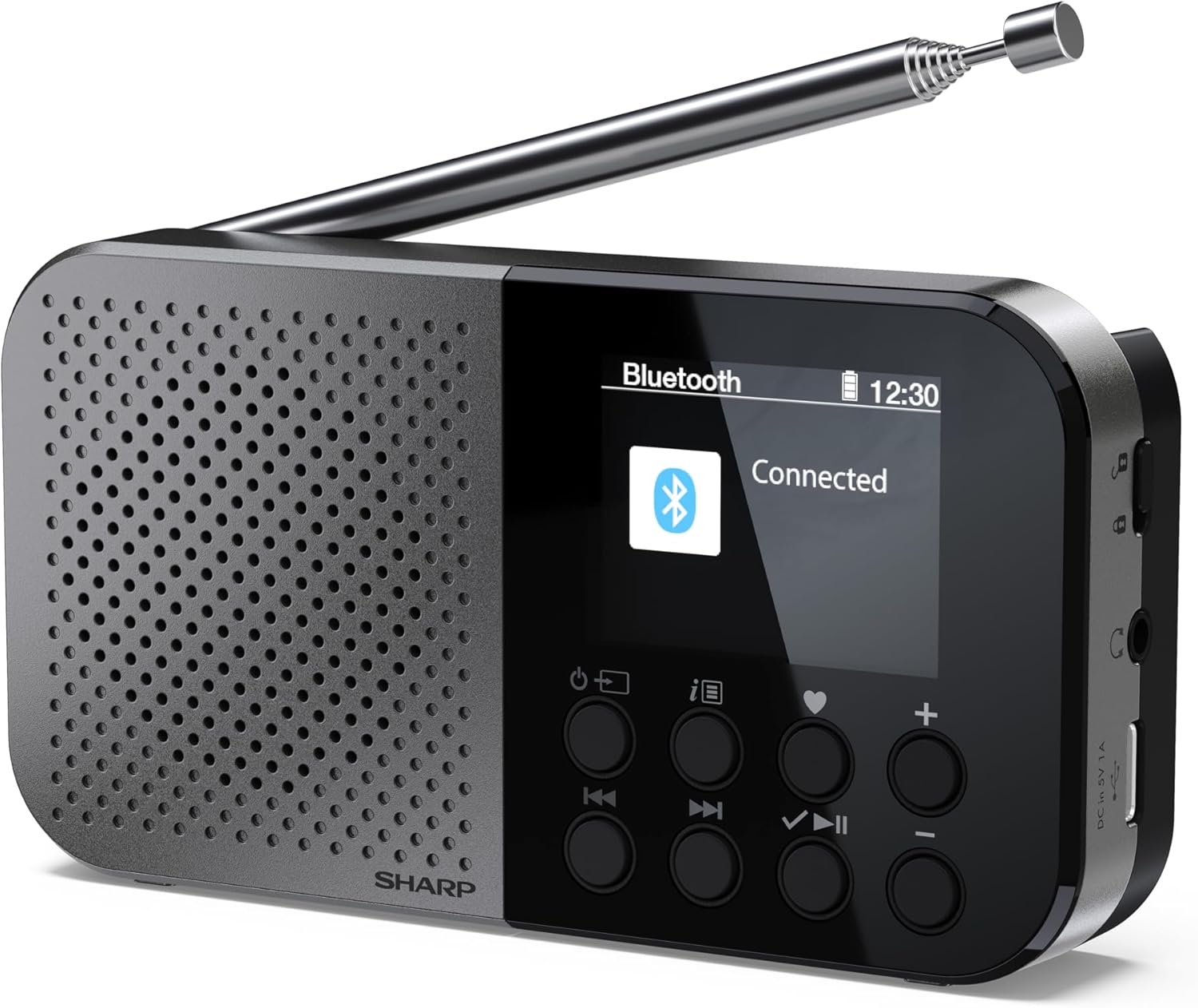 Radio sieciowe Dab+, Fm, internetowe Sharp DR-P520GY