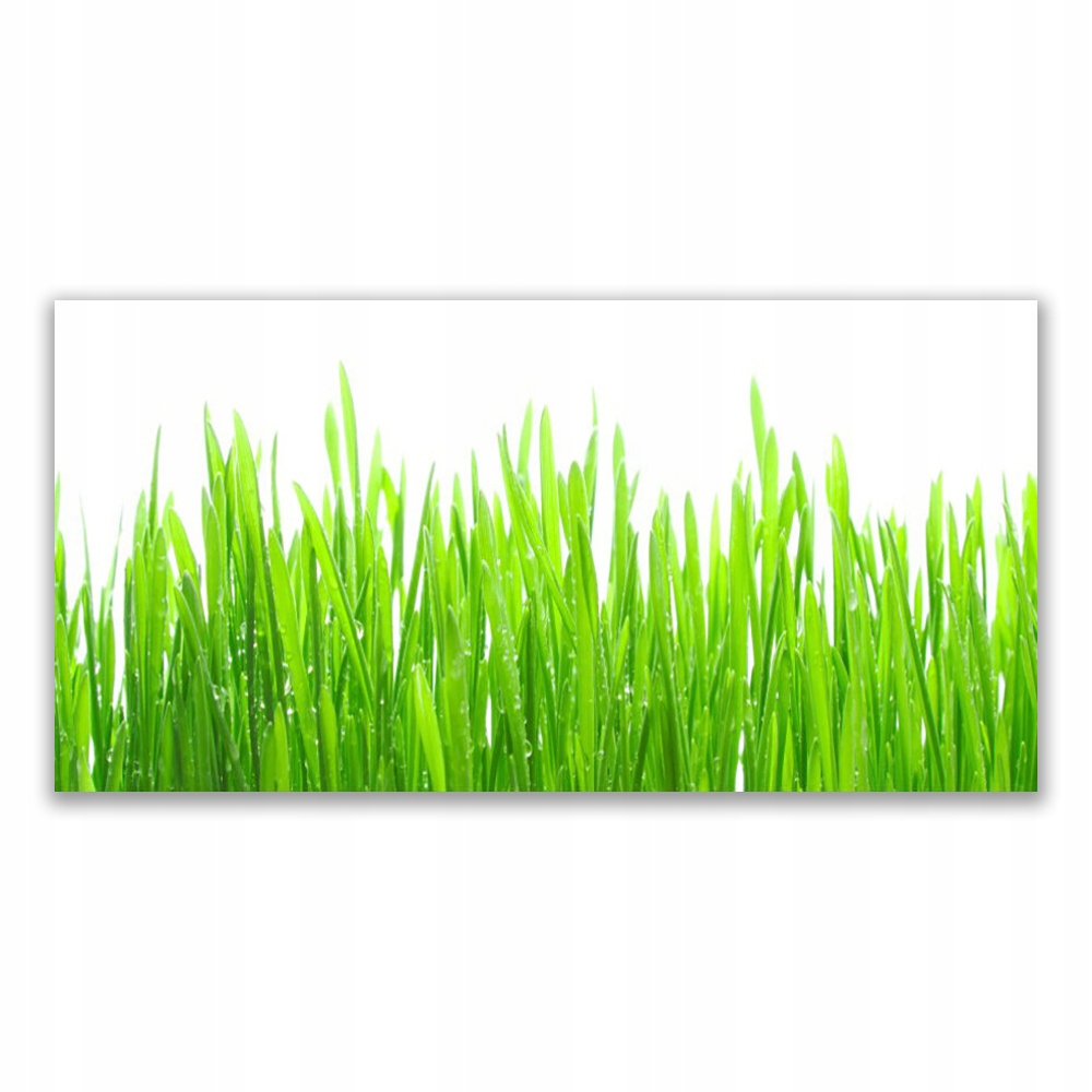 

Obraz akryl z grafiką 140x70 Trawa Roślina Natura