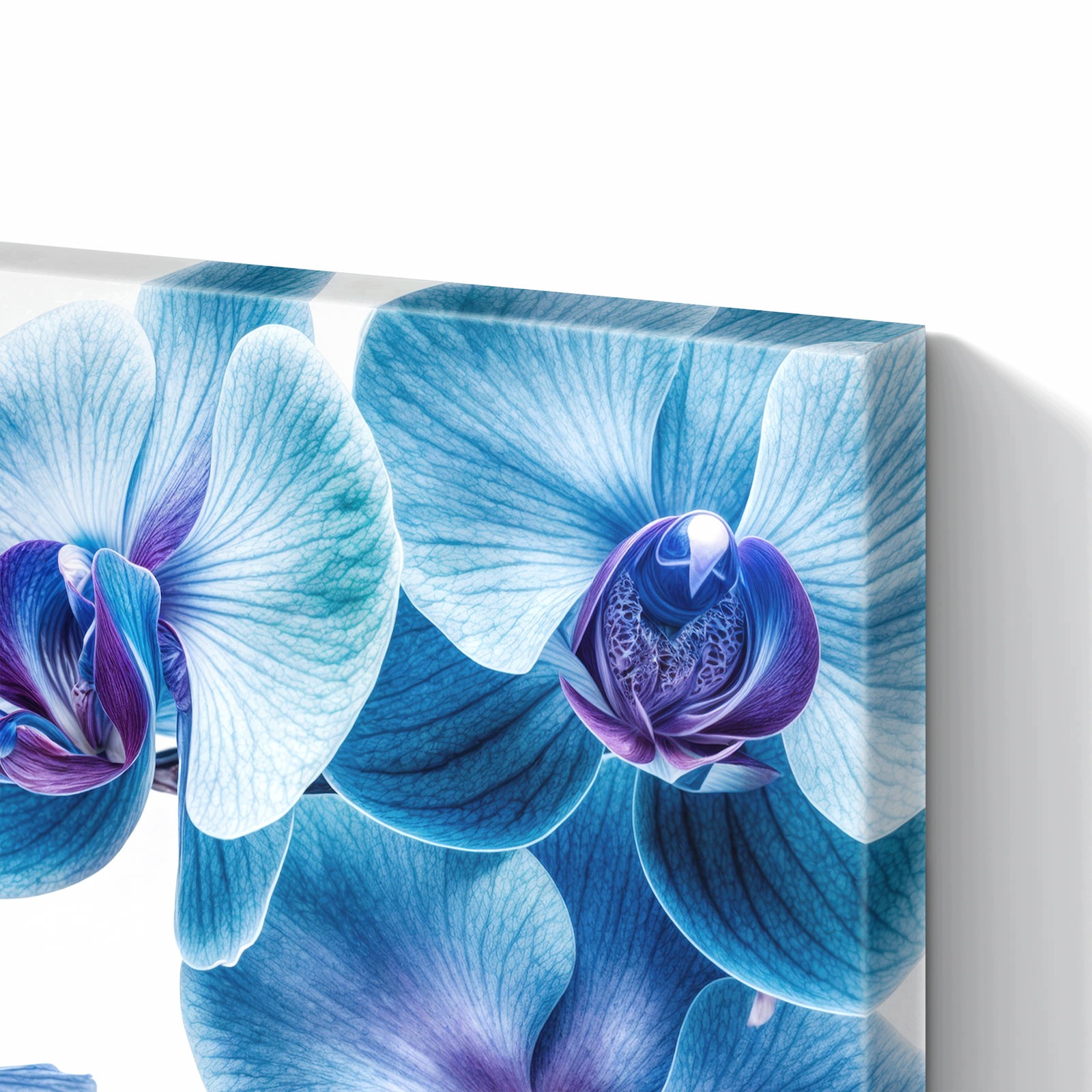 Magnetická tabule Niebieské Orchideje Květina 60 × 40 cm