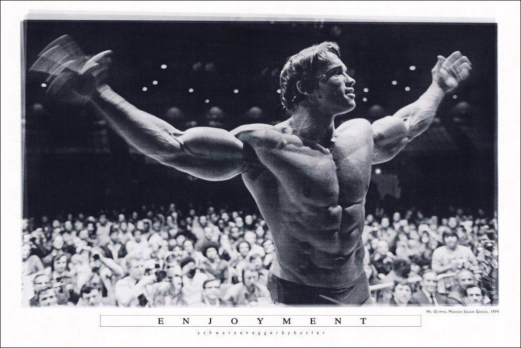 

Arnold Schwarzenegger Kulturysta plakat 91,5x61 cm