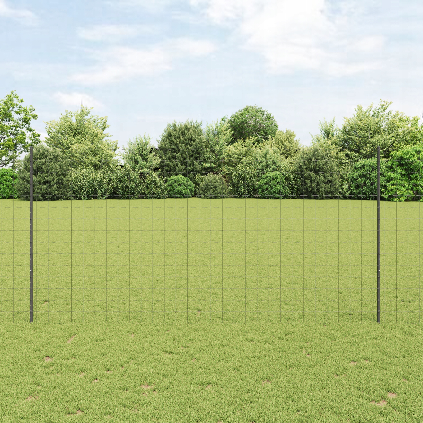 Evropské oplocení s 10 U sloupky Šedá 1,6x10 m Ocel Grey 3336093