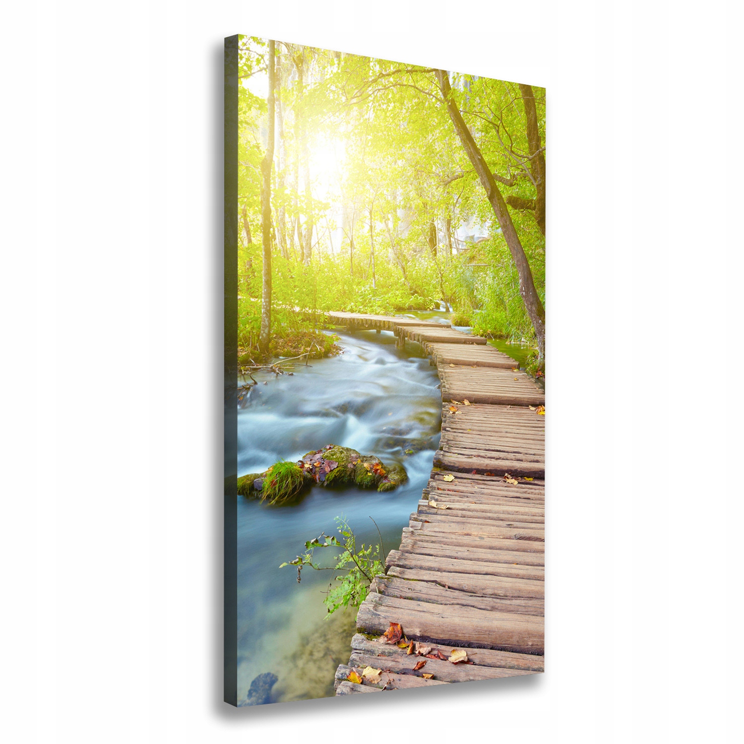 Foto obraz na plátně Cesta v lese 50x100 cm