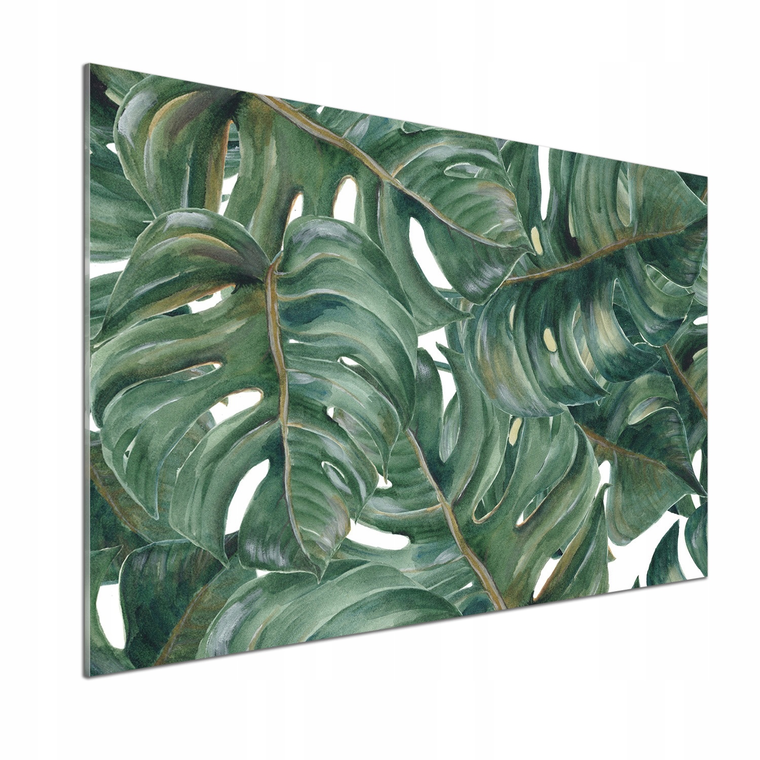 Panel medzi nábytkom v kuchyni Monstera 100x70 Lepidlo