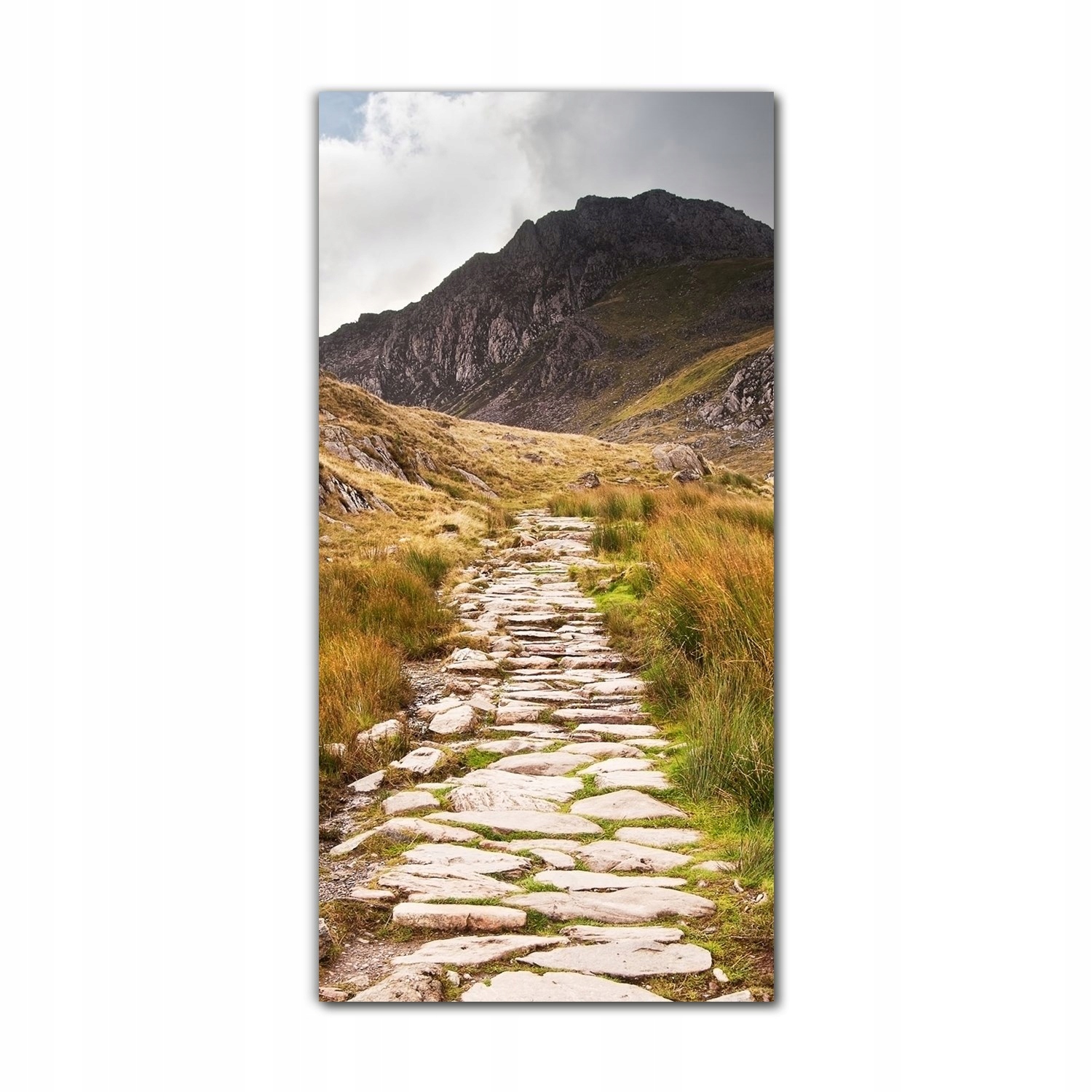 

Foto-obraz ścienny grafika 70x140 Góry krajobraz