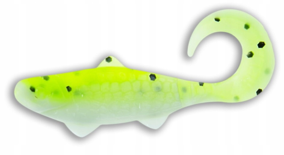 

Relax Guma Na Okonia Banjo 1'' 4,5CM 1SZT