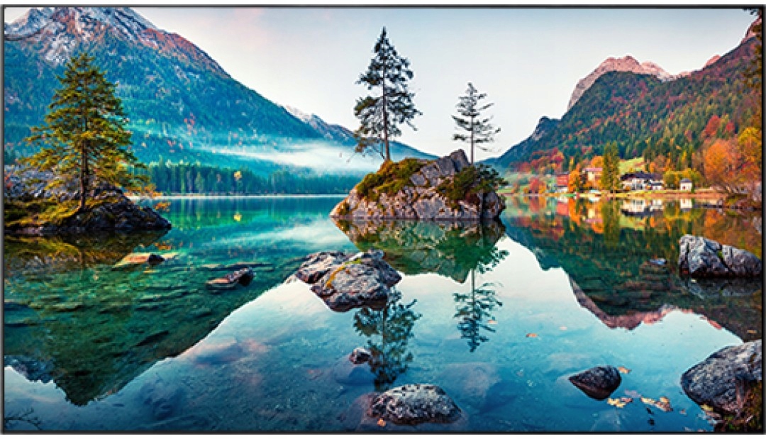 Monitor Do Ścian wideo VESTEL WU49B/2H + UCHWYT