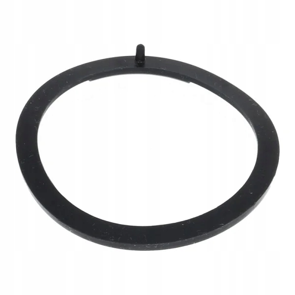 DeLonghi uszczelka głowica kolbowy