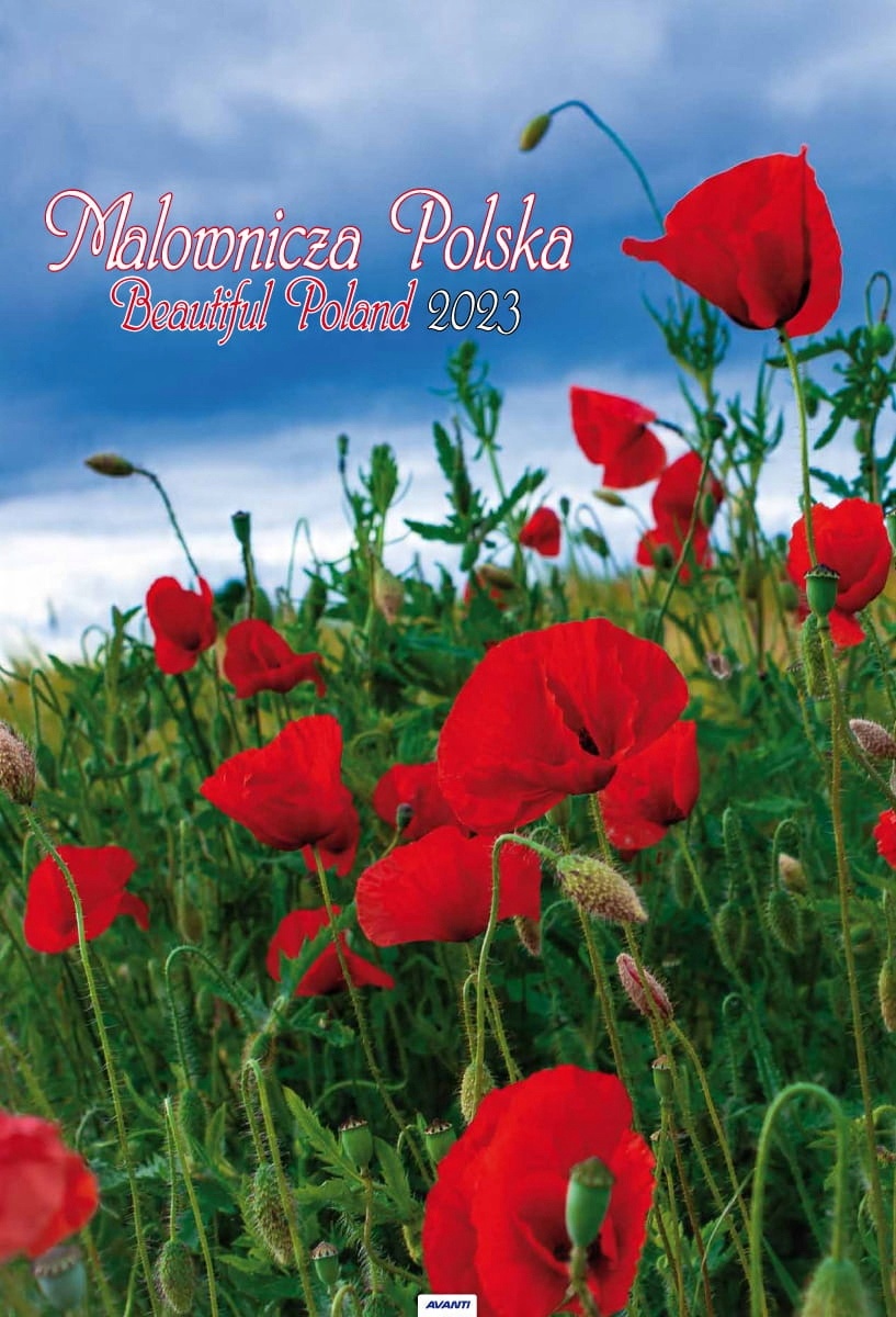 

Kalendarz Ścienny 2023 Malownicza Polska A3 32x47