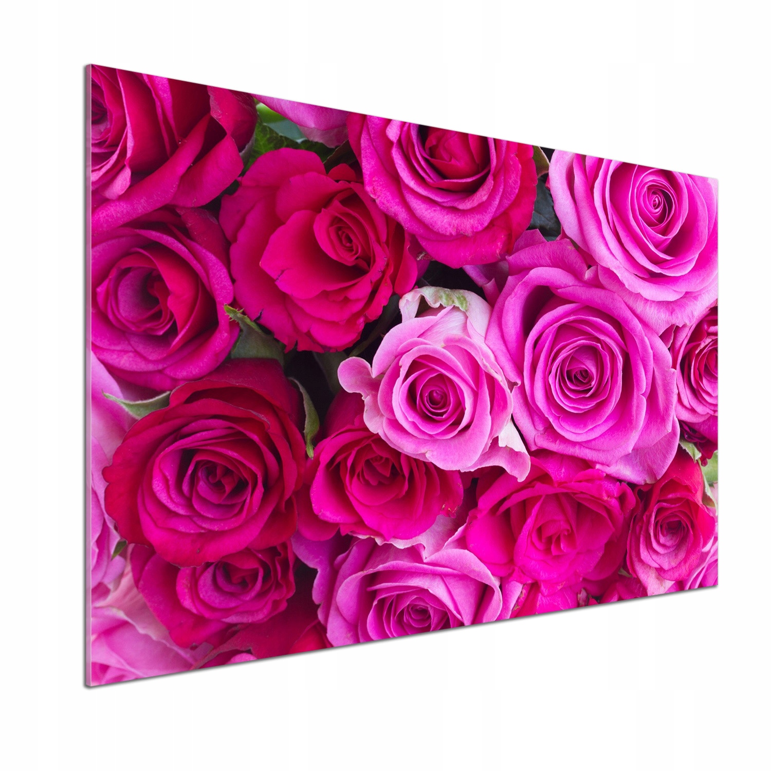 Panel lacobel Kytica ružových ruží 100x70 cm Lepidlo