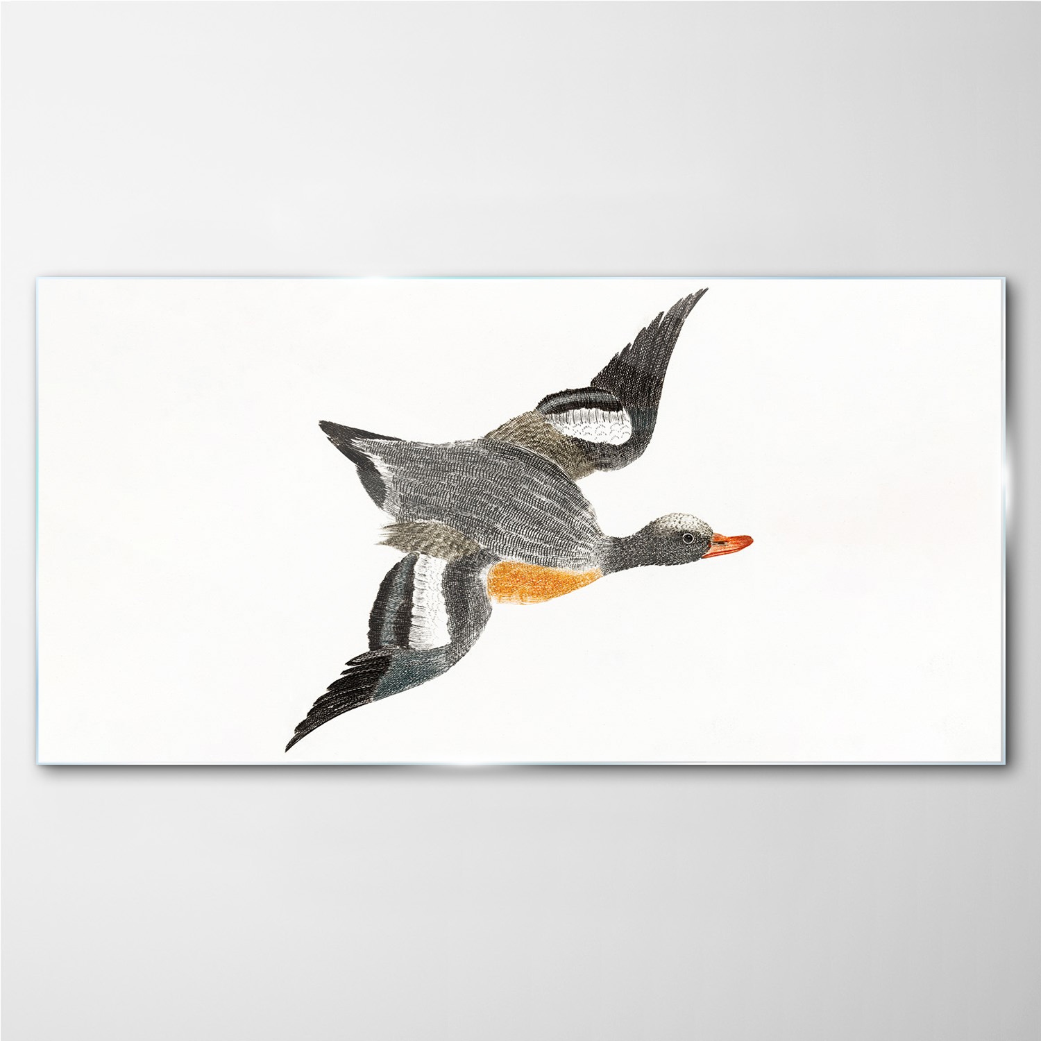 

Foto obraz szklany na ścianę Zwierzę ptak 100x50