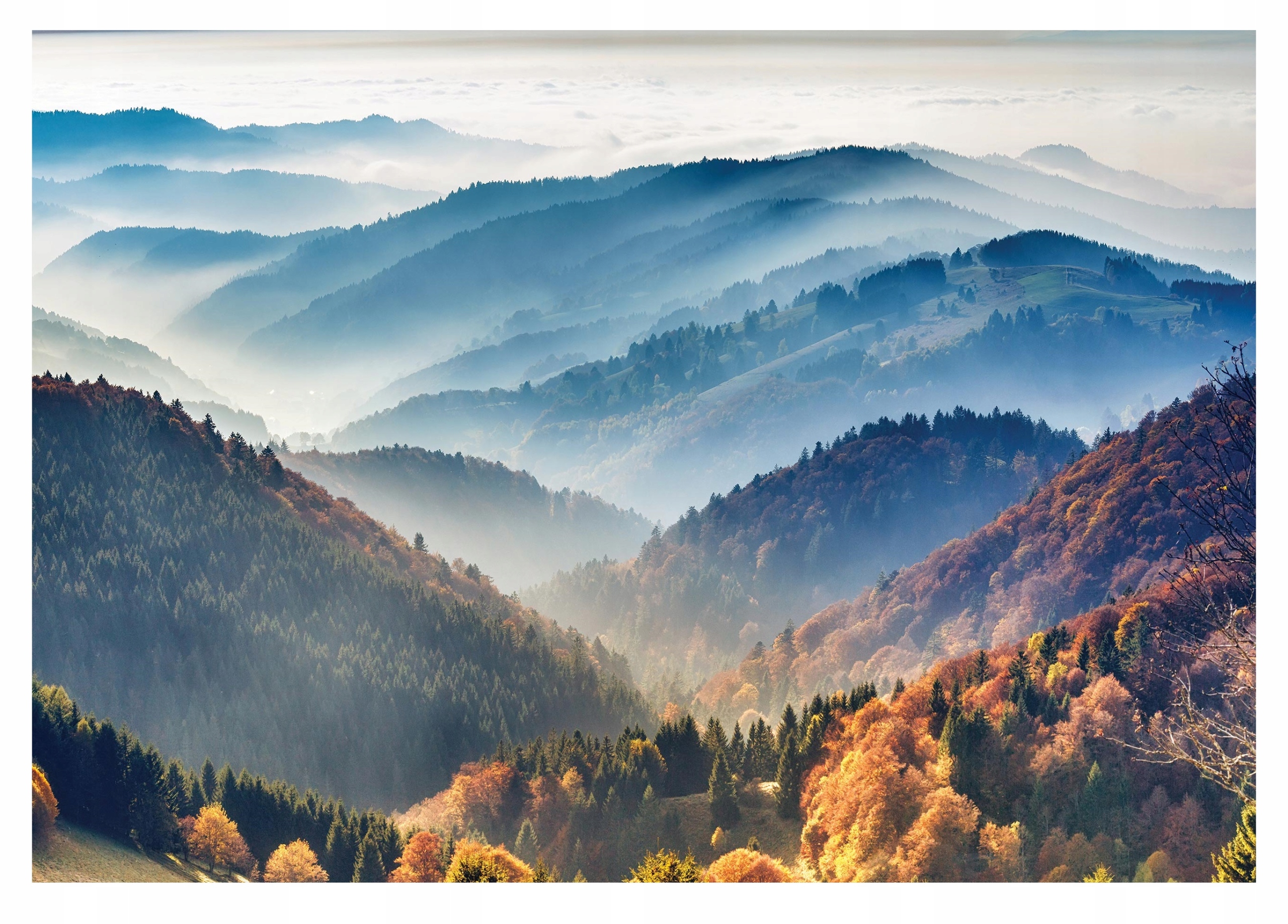 

Fototapeta Góry We Mgle 3D Las Drzewa 368x254